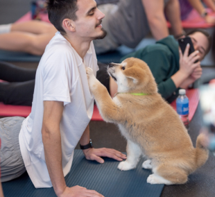 Puppy Yoga, joga su šuniukais